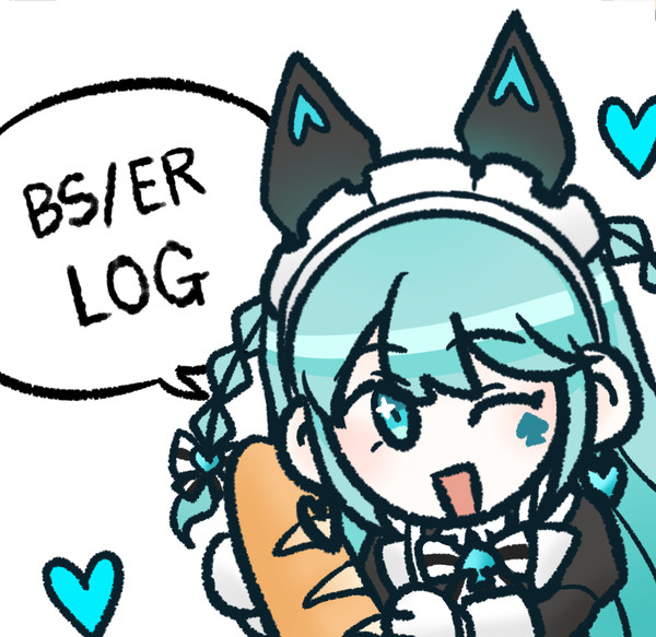 BS/ER LOG