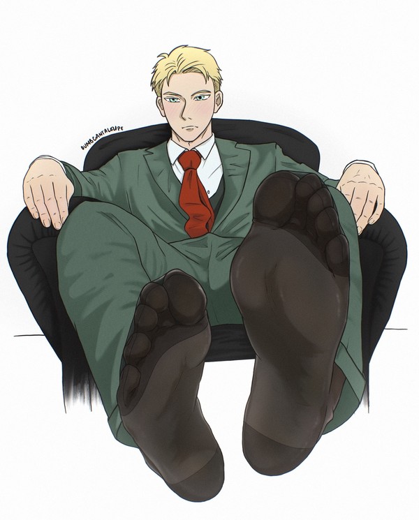 Loid Forger & his sheer socks