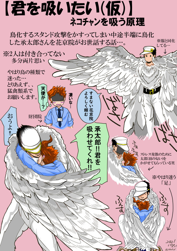 BIRD/sideJ