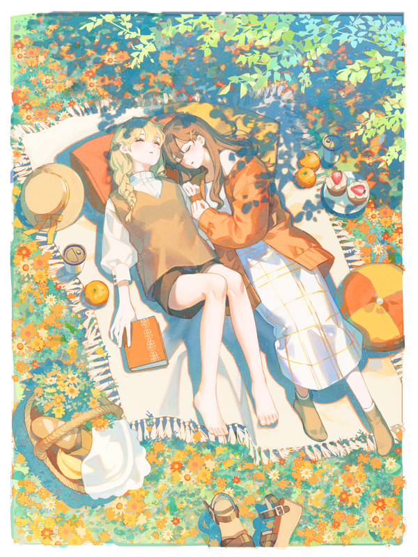 Gazanias Holiday