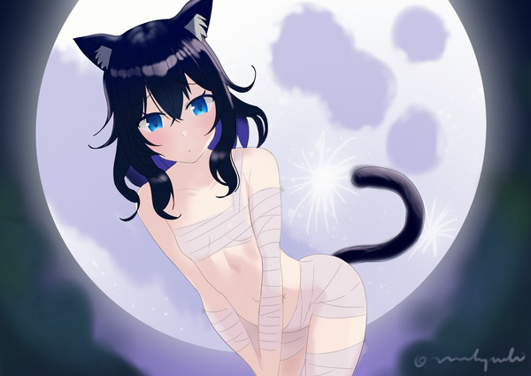 月と黒猫