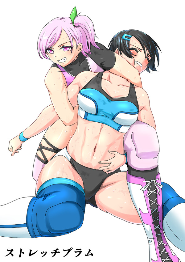 ストレッチプラム
