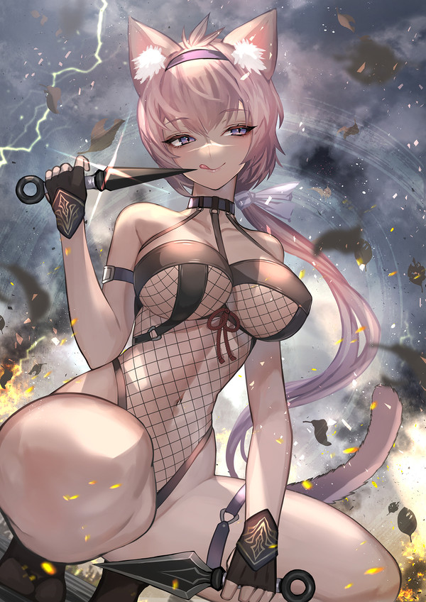 ねこ忍者卍風魔&甲賀卍