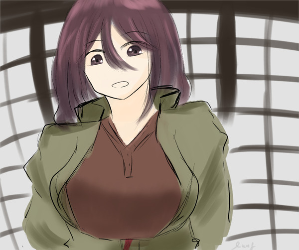 はこさん