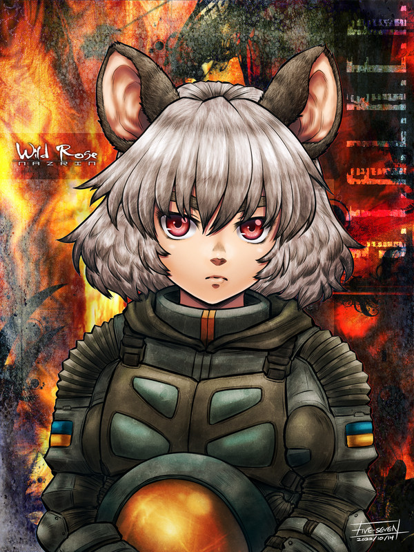 12年の軌跡。
