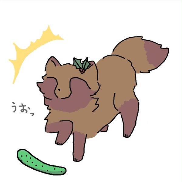 きゅうりにビビる狸＆狐娘と猫娘のコメント