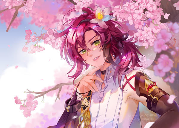 【原神】Anemo Bois