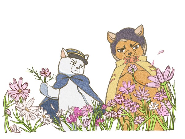 動物フォーゼ　フォゼ島　フォゼ鯉