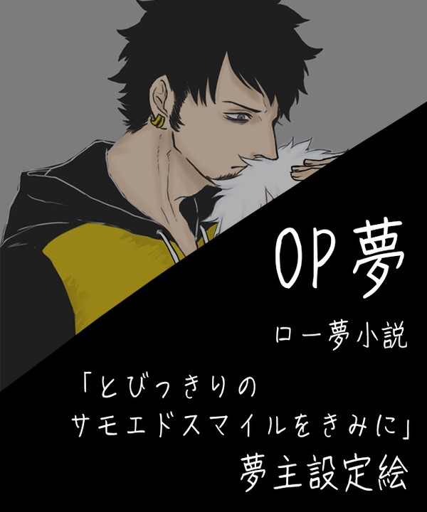 【OP夢】とびさも夢主設定絵とEp.6での気持ち ログ1