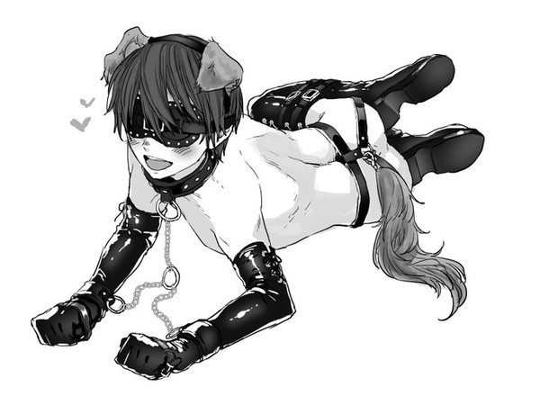 犬