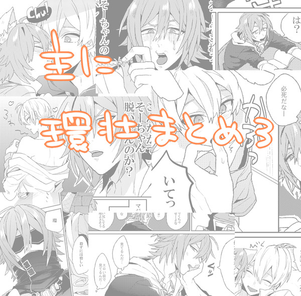 主に環壮３