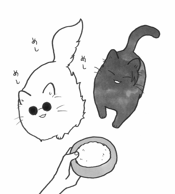 五夏猫ログ