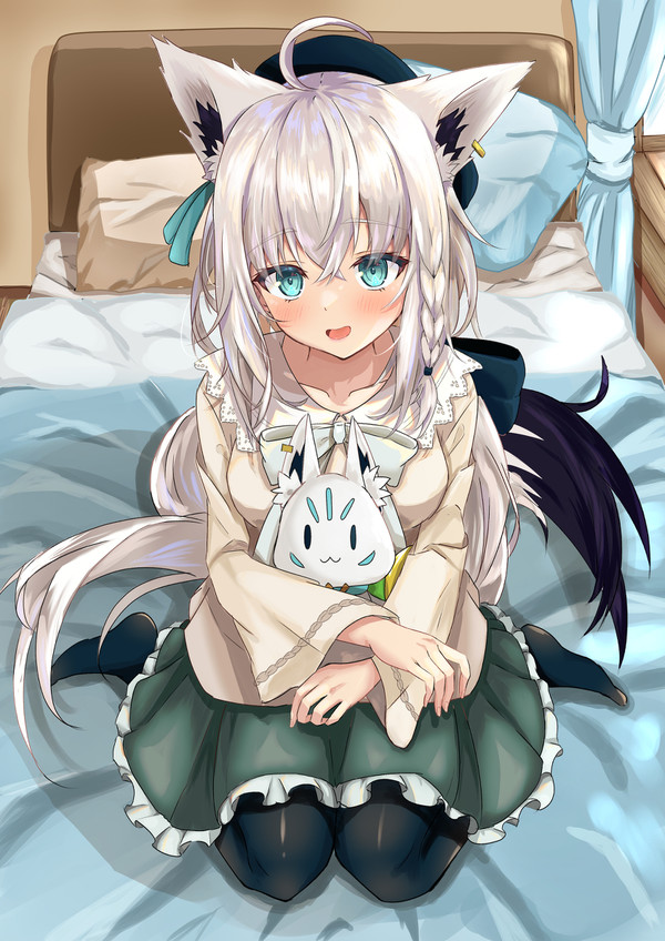 フブちゃん 私服