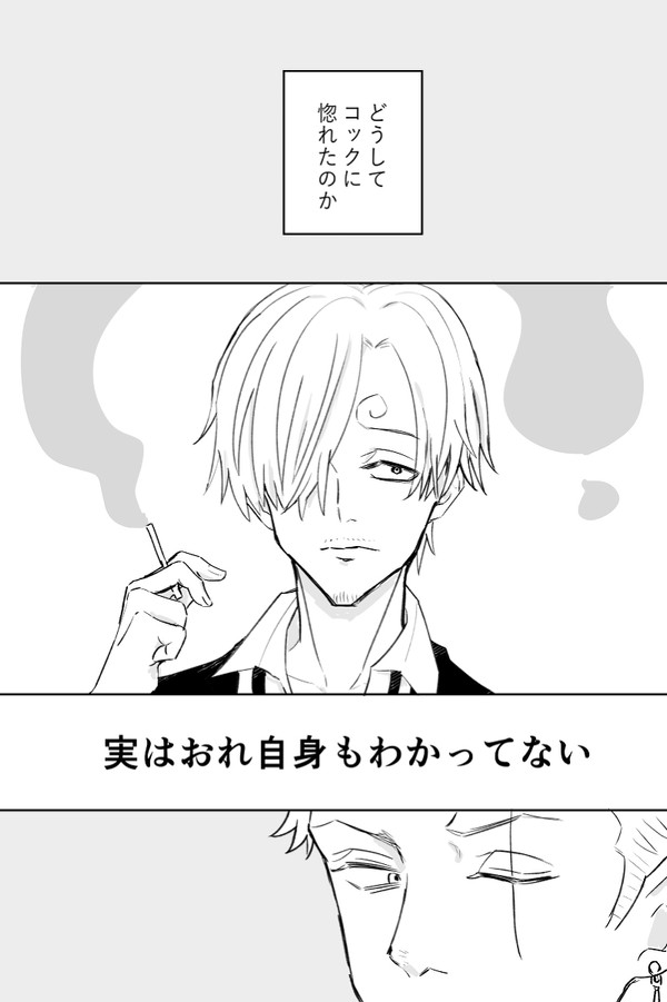 コックに惚れた理由がわからないゾロの話