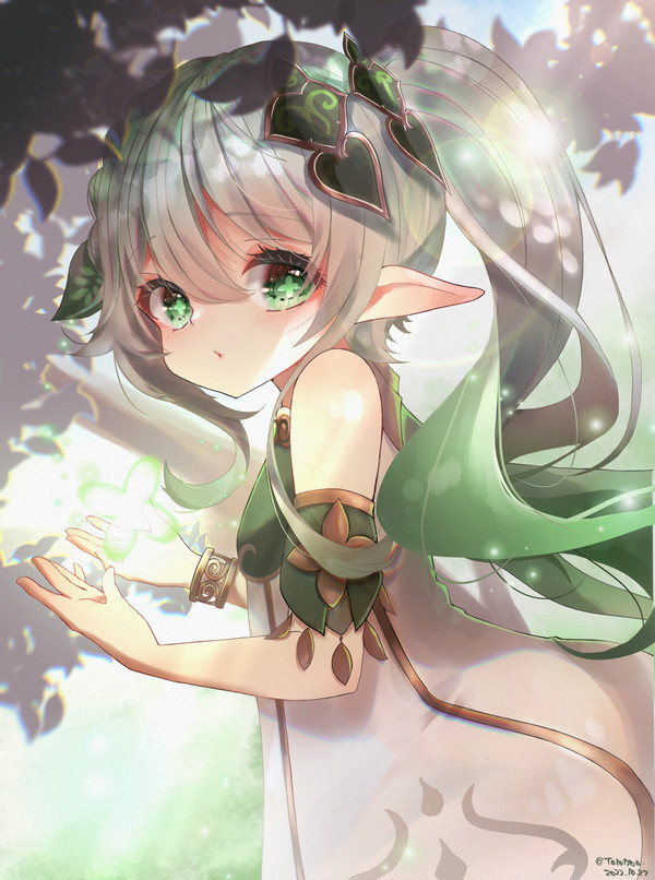 ナヒーダ