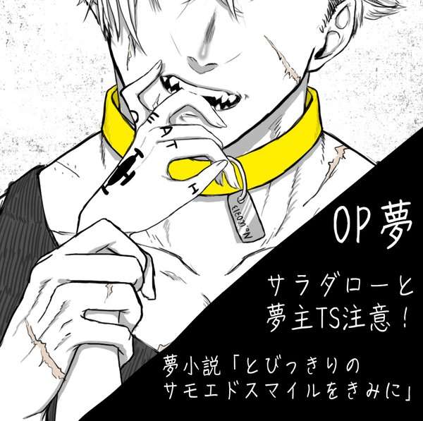 【OP夢】とびさもがサラダローで夢主が男だったらってやつ。ログ2