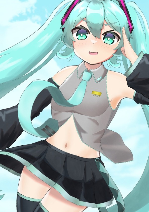 ミクさん