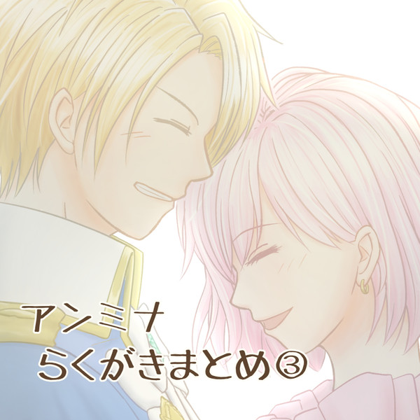 アンミナ まとめ３