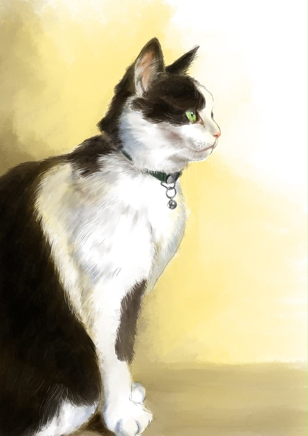 飼い猫