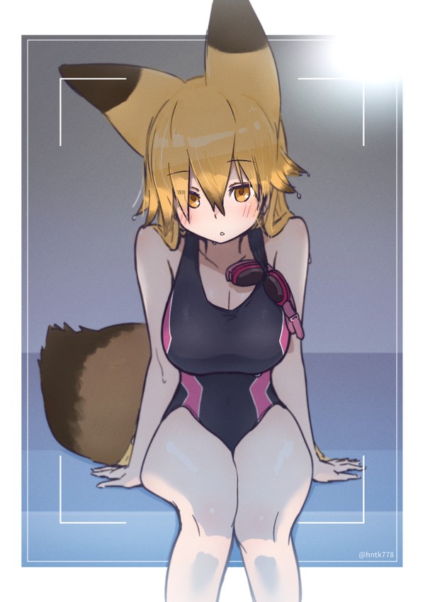 キタキツネ