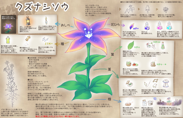 【PFSoZ】クズナシソウ【アイテム】
