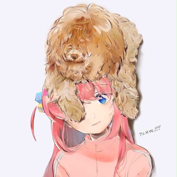 ぼっち・ざ・ろぐ
