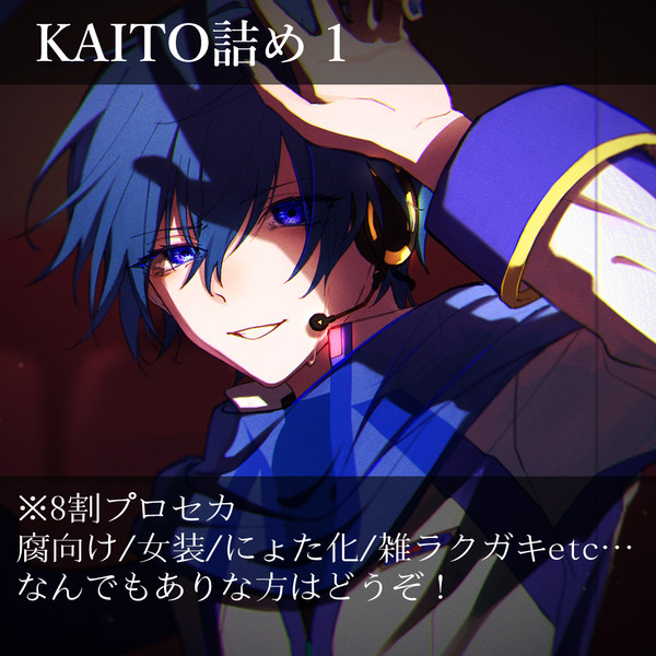 KAITO詰め1