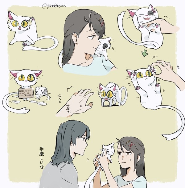 ダイジンといっしょ