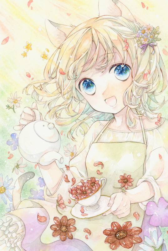チョコレートコスモス