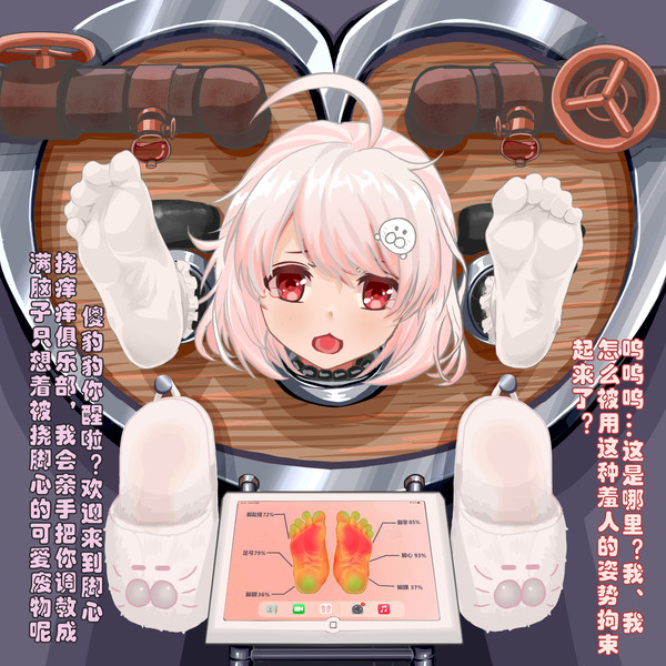 迫害傻豹豹