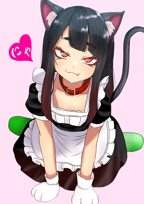 練習にゃ