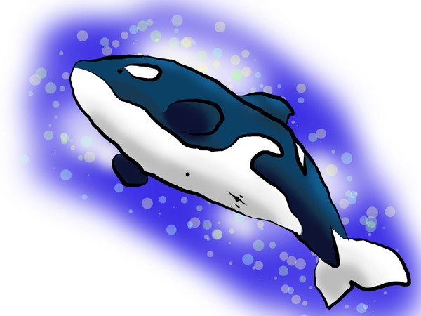 シャチ