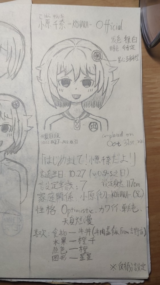 Some pictures.(中国語メイン)