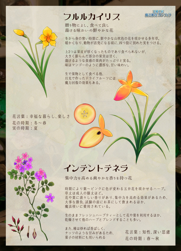 【PFSOZ】フルルカイリス&インテントテネラ