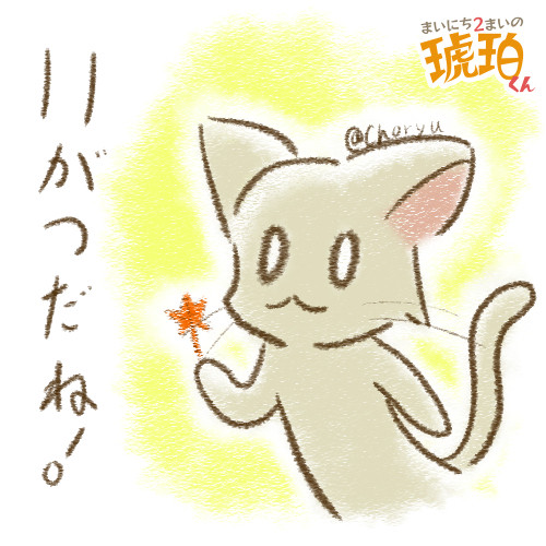 まいにち2まいの琥珀くん　2022年11月分