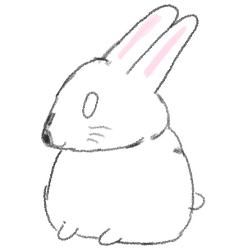 Myうさぎ「うさぴ」