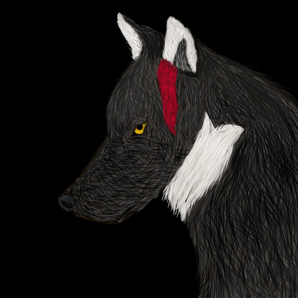 미오샤 낙서