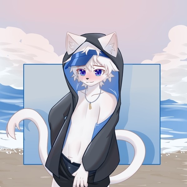 海滩小猫