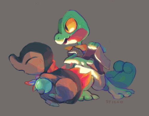 Treecko and Cyndaquil PMD