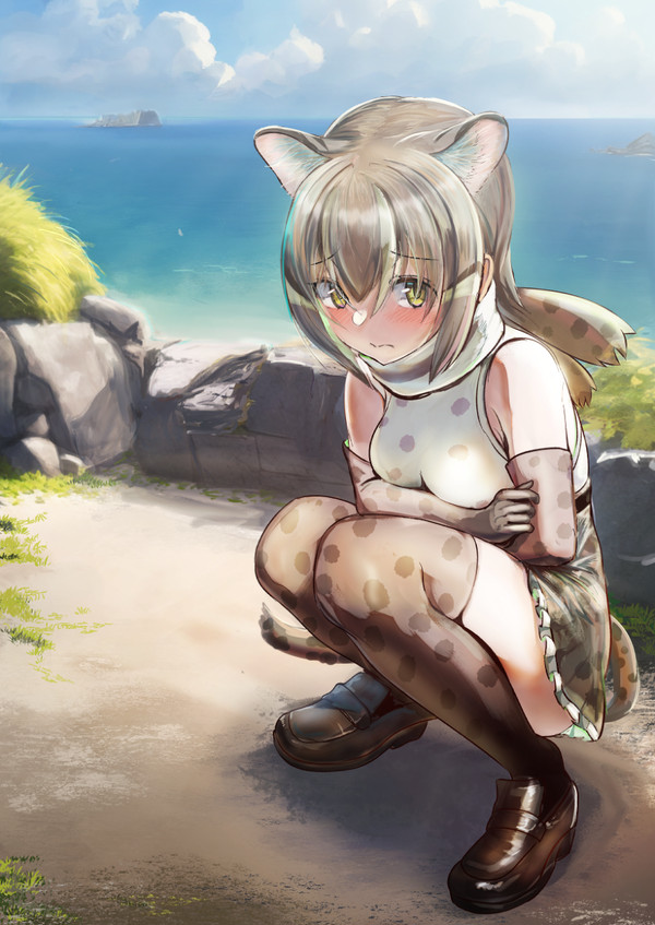 イリオモテヤマネコちゃん