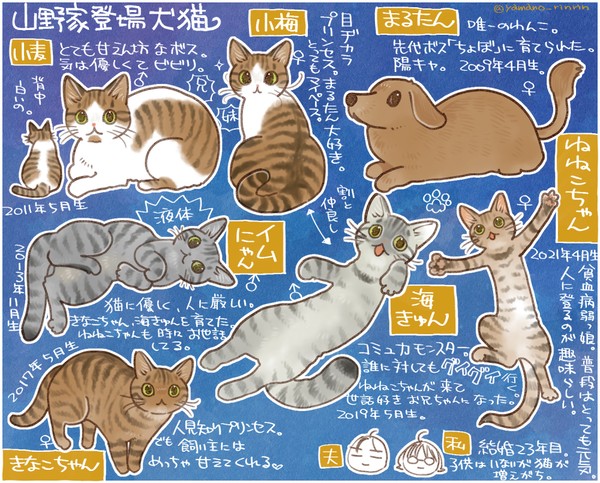 山野家の猫エッセイっぽいのいろいろ