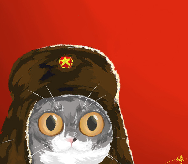 社会主义猫猫
