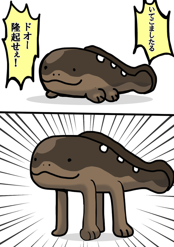 隆起するドオー