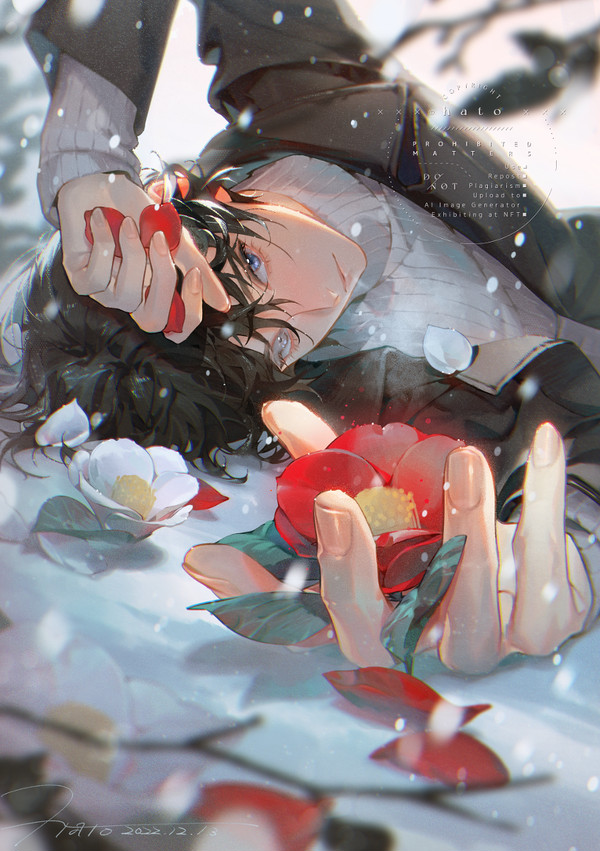 寒椿