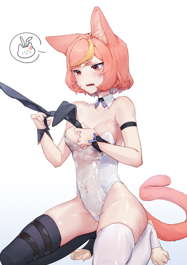 🍑🐈🐰