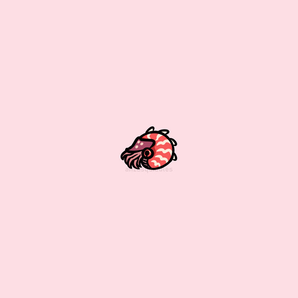 mini dreadnautilus