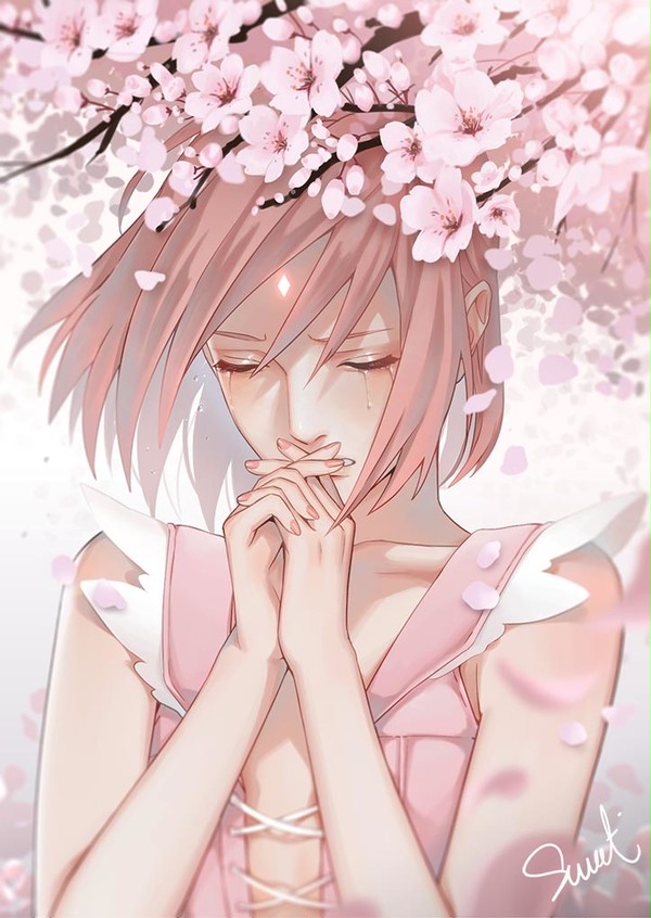 2022年 樱🌸All