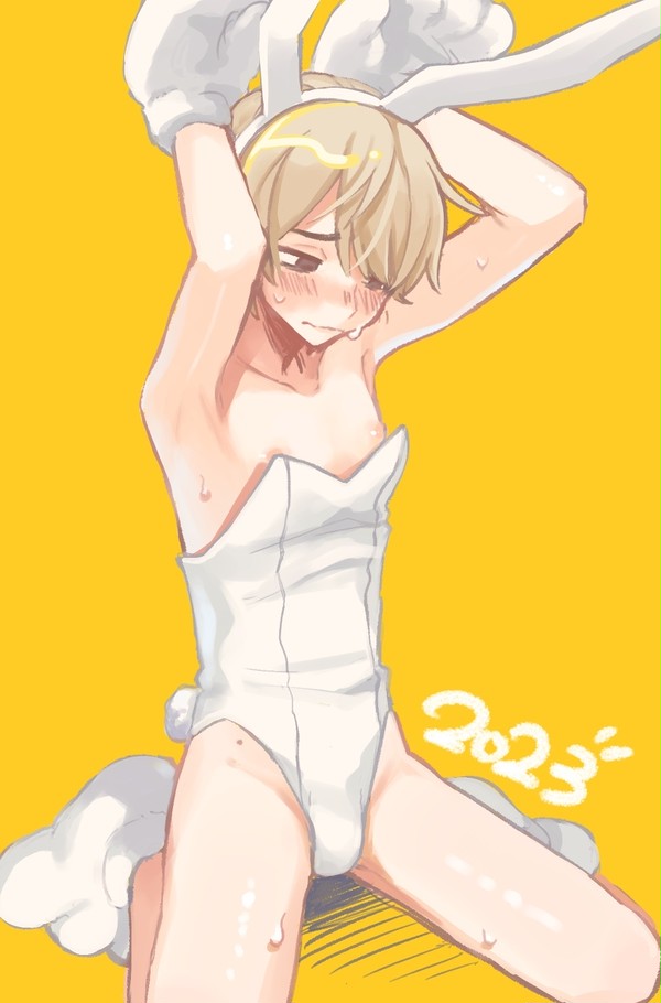 兎