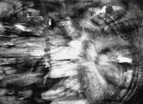 Ex Nihilo