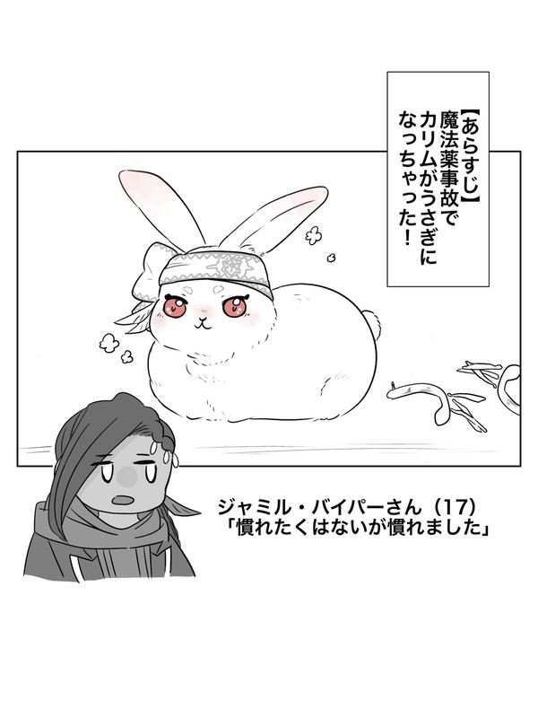 魔法薬でうさぎになっちゃったカリムと、ジャミルの話